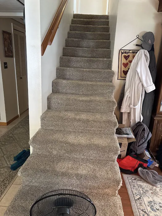 Stanley Steemer Picture 4