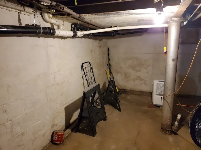 Mold Medics Picture 8