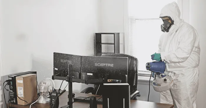 Mold Medics Picture 3