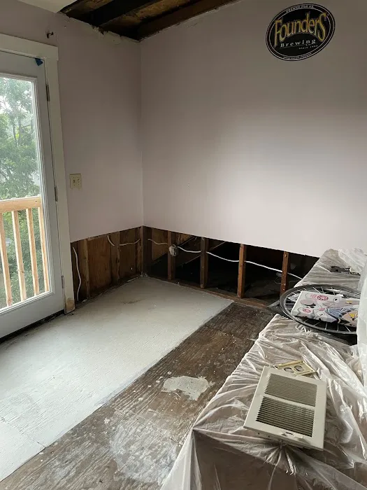 Mold Medics Picture 6