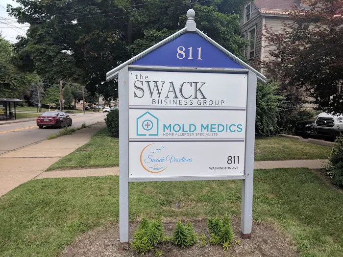 Mold Medics Picture 2