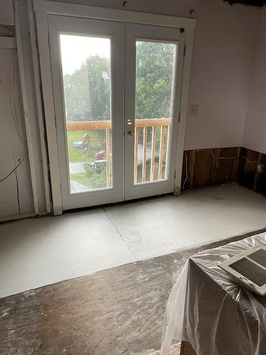 Mold Medics Picture 9