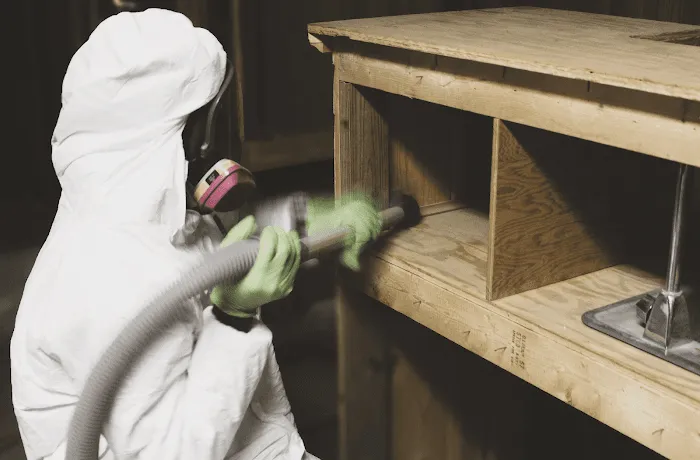 Mold Medics Picture 1