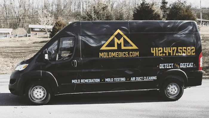 Mold Medics Picture 4