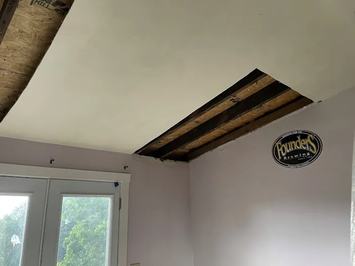 Mold Medics Picture 5