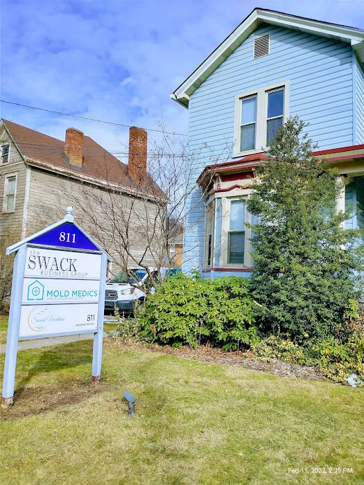 Mold Medics Picture 10