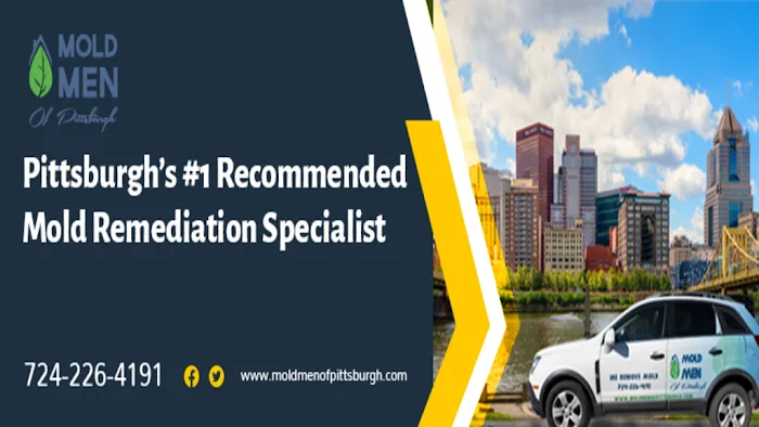 Mold Men of Pittsburgh Picture 6