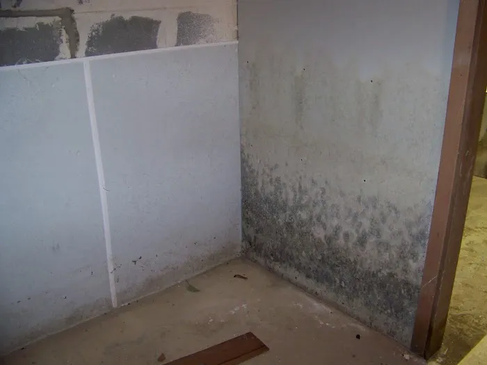 Mold Men of Pittsburgh Picture 1