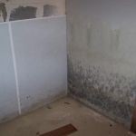 Mold Men of Pittsburgh