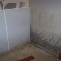 Mold Men of Pittsburgh ico