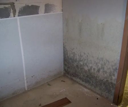 Mold Men of Pittsburgh