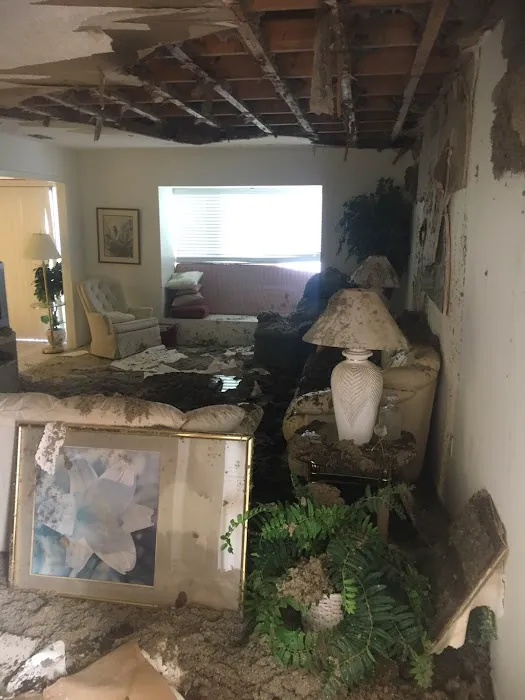 Brock Restoration Picture 4