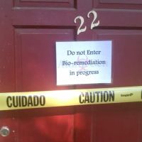 AuntieGen | Mold Removal in Indianapolis ico