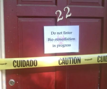 AuntieGen | Mold Removal in Indianapolis