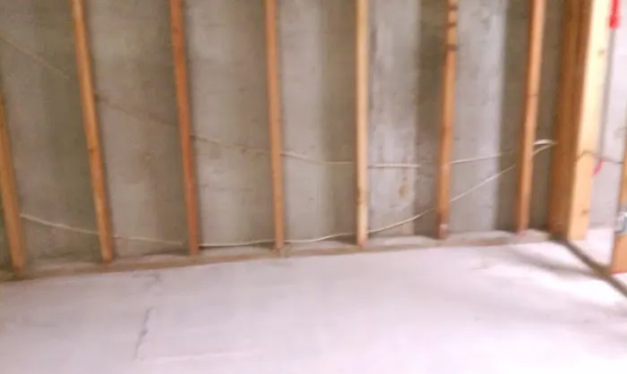 AuntieGen | Mold Removal in Indianapolis Picture 2