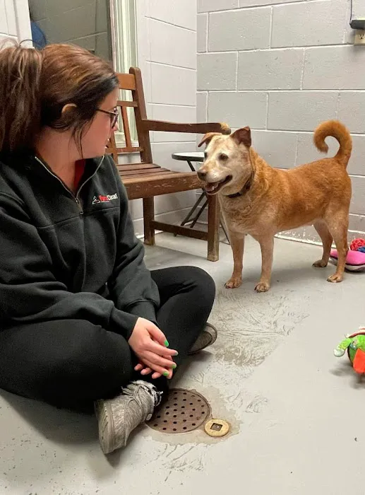 PuroClean of Lafayette Picture 5