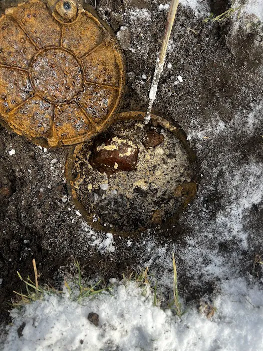 Restorex Septic Solutions Picture 10