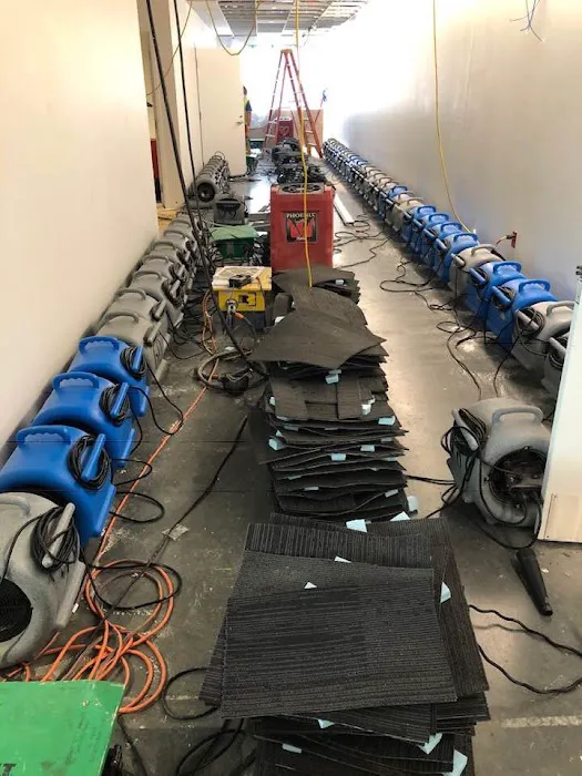 Calloway Cleaning and Restoration Picture 3