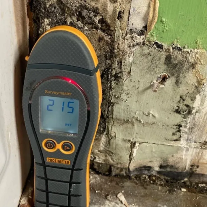 A+ Restoration Picture 10