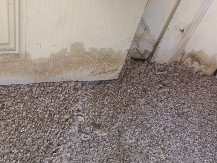 Dry Effect Picture 5