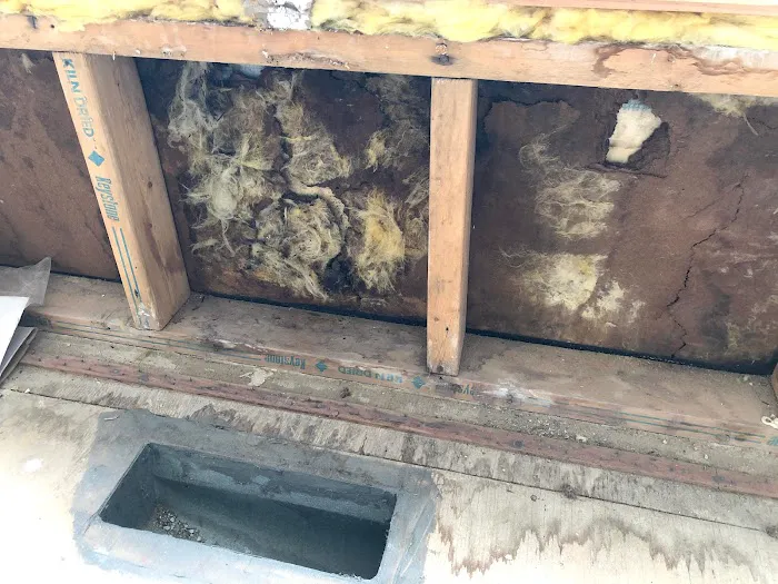 Dry Effect Picture 8