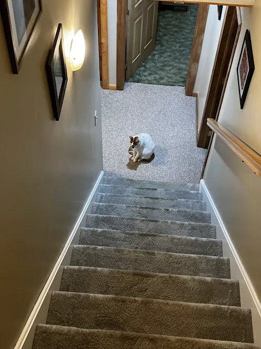 C&S Cleaning Services, LLC Picture 5