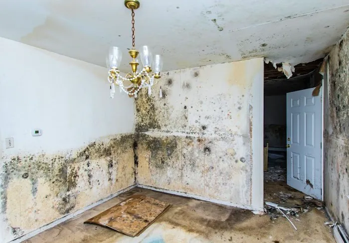Pittsburgh Mold Remediation Services Picture 3