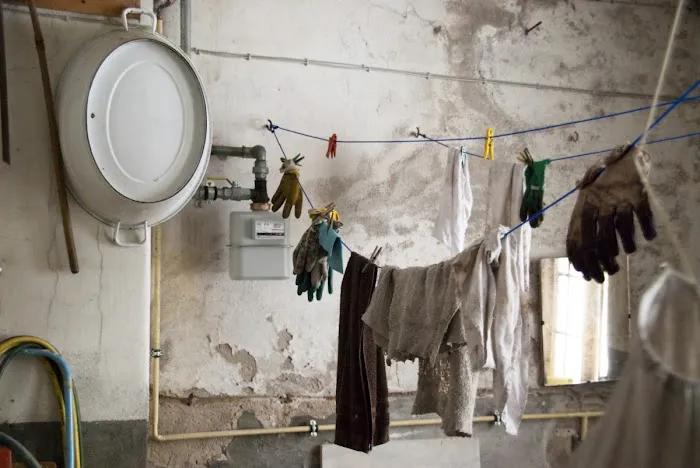 Pittsburgh Mold Remediation Services Picture 10