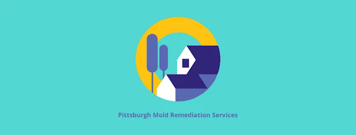 Pittsburgh Mold Remediation Services Picture 5