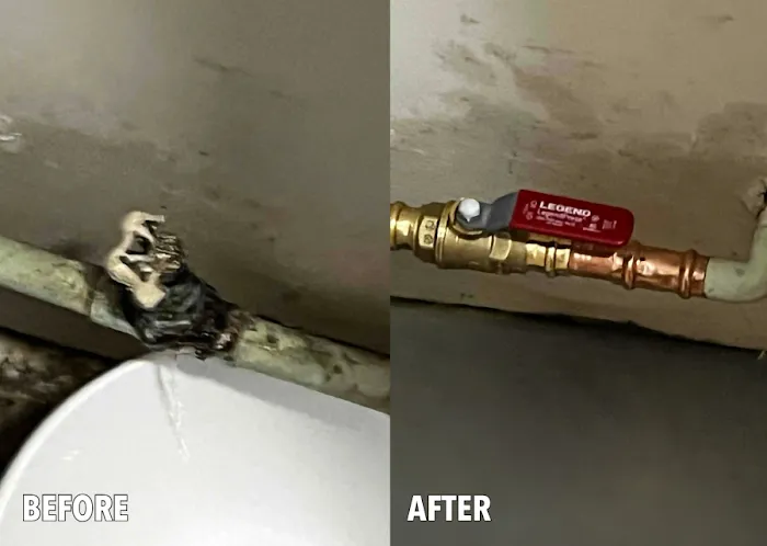 1-Tom-Plumber Picture 7