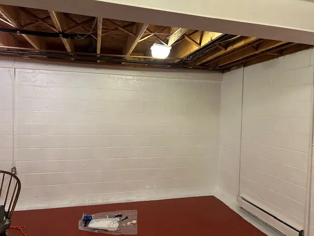 Mold Stingers Picture 1