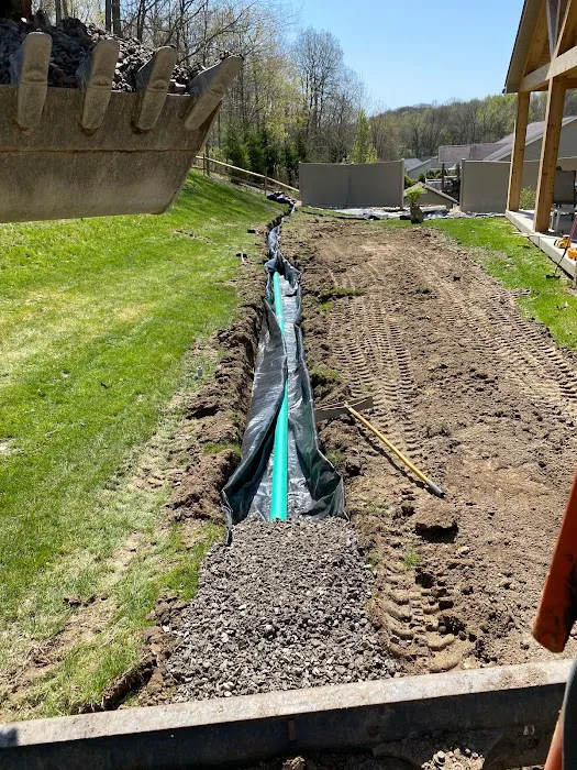 Mold Stingers Picture 9