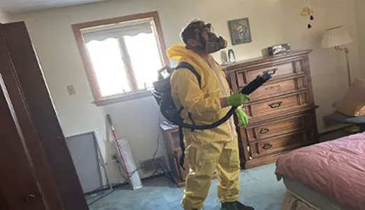 Mold Stingers Picture 2