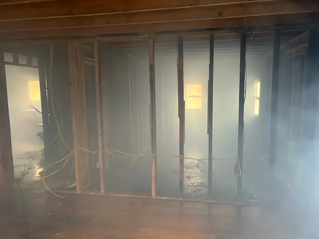 Mold Stingers Picture 4