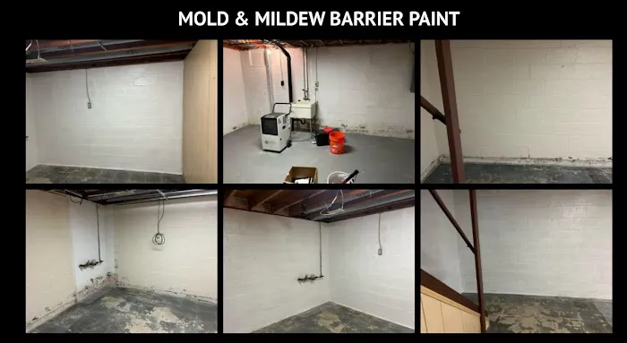 Mold Stingers Picture 7