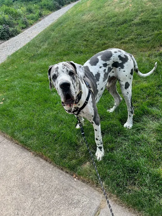 Ed Lampl Environmental and Home Inspections Picture 4