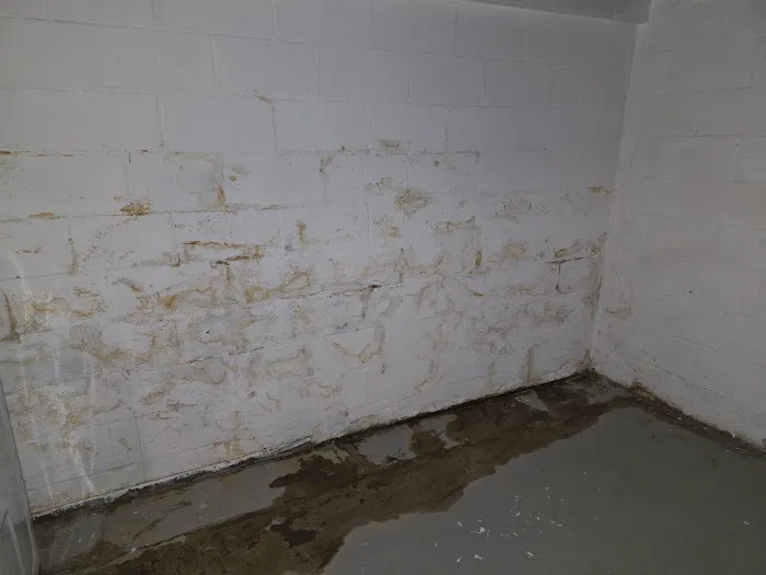 Aquaguard Systems Inc. Picture 9