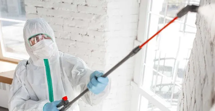 Pittsburgh Mold Removal Solutions Picture 2