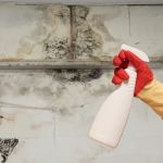 Pittsburgh Mold Removal Solutions