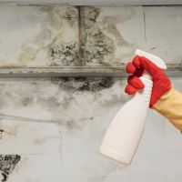 Pittsburgh Mold Removal Solutions ico