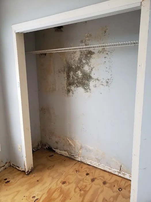 Pittsburgh Mold Removal Solutions Picture 4