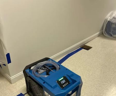 All Dry Services of South Hills Pittsburgh