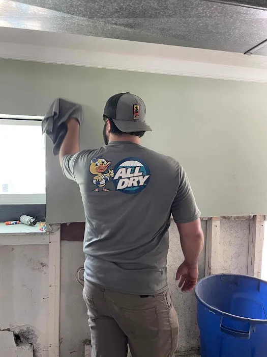 All Dry Services of South Hills Pittsburgh Picture 10