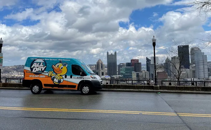 All Dry Services of South Hills Pittsburgh Picture 8