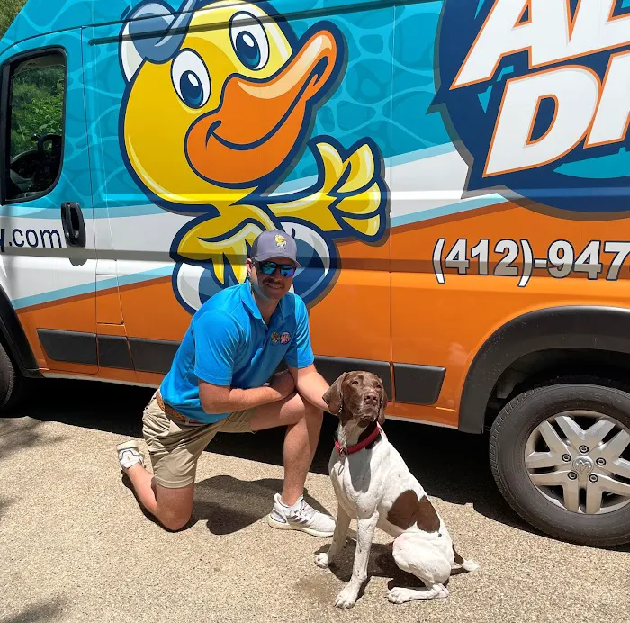 All Dry Services of South Hills Pittsburgh Picture 5