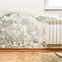 PuroClean Restoration Specialists ico