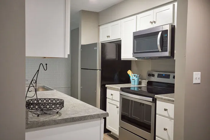 Franjo Restoration Picture 4