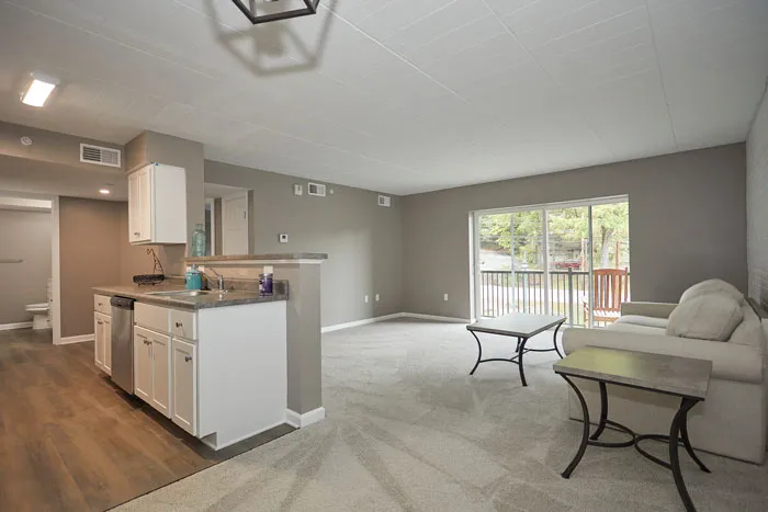 Franjo Restoration Picture 5