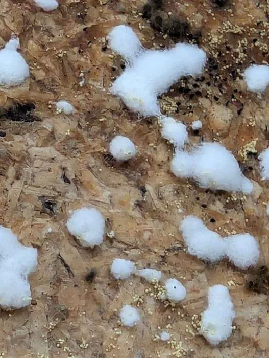 Alpha Air Quality Picture 3