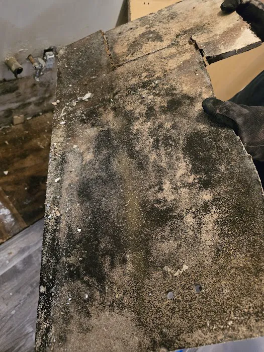 Alpha Air Quality Picture 4